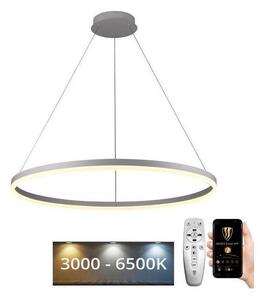 Brilagi - Lampă suspendată LED CIRCLE, dimabilă, pe cablu, 55W/230V 3000-6500K + telecomandă
