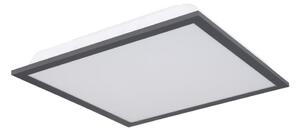 Globo 416080D1 - Plafonieră LED DORO LED/12W/230V