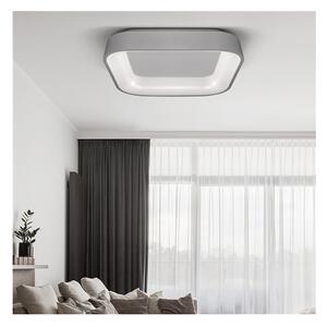Solight WO769-G - Plafonieră LED reglabilă TREVISO LED/48W/230V cu DO