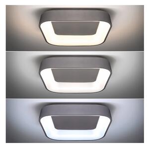Solight WO769-G - Plafonieră LED reglabilă TREVISO LED/48W/230V cu DO