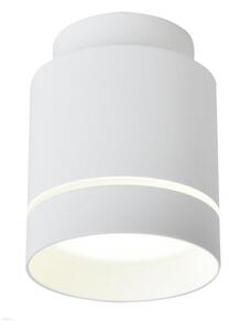 Plafonieră LED TUBA LED/12W/230V