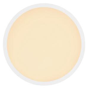 Plafonieră LED pentru baie Globo 41562-18W SAPANA LED/18W/230V IP44