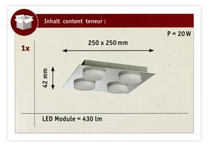 Plafonieră pentru baie 4xLED/5W IP23 DORADUS 230V Paulmann 70875