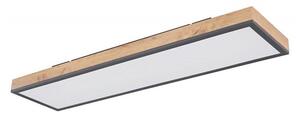 Plafonieră LED DORO LED/24W/230V Globo 416080WD4