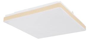Plafonieră LED RAINA LED/12W/230V Globo 48296W