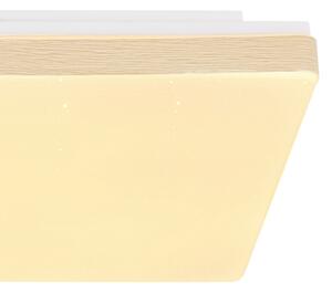 Plafonieră LED RAINA LED/12W/230V Globo 48296W