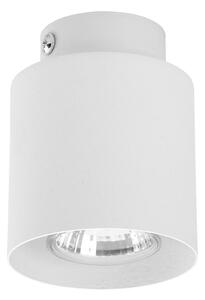 Spot VICO WHITE 1xGU10/10W/230V
