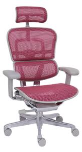 Scaun de birou Ergohuman 2 Elite GS Pink