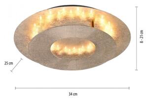 Plafonieră LED NEVIS LED/6W/230V aurie Paul Neuhaus 9011-12