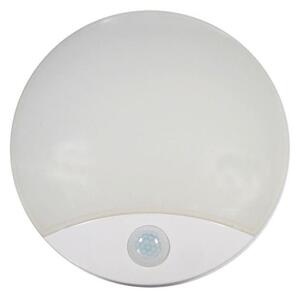 Plafonieră LED de exterior cu senzor LED/15W/230V IP44