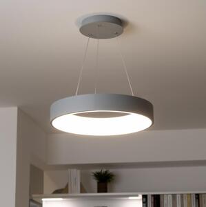 Brilagi - Lustra LED dimabilă pe cablu LED/40W/230V 3000-6500K gri + telecomandă