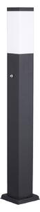 G & L Handels GmbH Bornă luminoasă 400166142, V2A, senzor, antracit, 2 prize, reglabil, Negru, Oțel inoxidabil