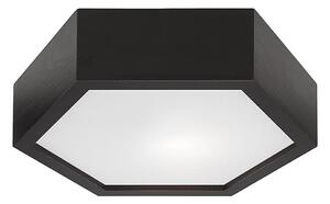 Plafonieră HEX 1xE27/60W/230V d. 32 cm negru pin