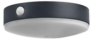 Ledvance ENDURA STYLE LED 6W 3,7V IP44 lampă solară de perete cu senzor