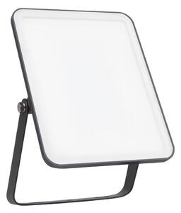 Proiector LED de perete de exterior FLOODLIGHT LED/30W/230V 6500K IP65 Ledvance