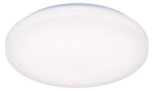 Plafonieră LED OPAL LED/50W/176-264V