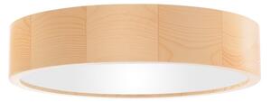 Plafonieră pentru baie CLEO 3xE27/24W/230V IP54 d. 37,5 cm pin
