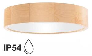 Plafonieră pentru baie CLEO 3xE27/24W/230V IP54 d. 37,5 cm pin
