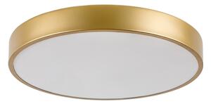 Rabalux 71037 - Plafonieră LED TESIA LED/36W/230V 3000K