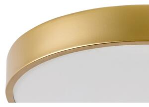 Rabalux 71037 - Plafonieră LED TESIA LED/36W/230V 3000K