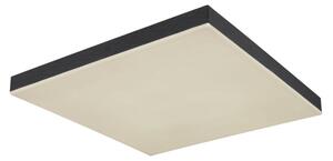 Plafonieră LED dimabilă DORO LED/24W/230V negru Globo 41594D2 + telecomandă