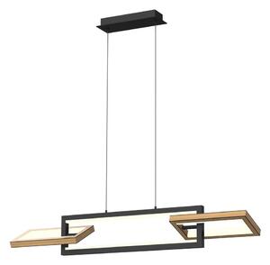 Lustră LED dimabilă pe cablu Wofi 7022-306 MATERA LED/30W/230V negru/maro