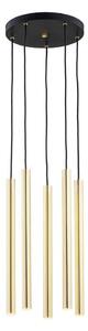 Lustră LED pe cablu SICILIA 5xLED/4,5W/230V Argon 2109
