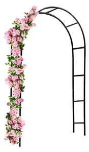 Suport arc pentru trandafiri, 240x140x37 cm