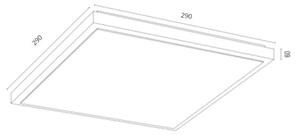 Plafonieră CARLSON 2xE27/15W/230V 29x29 cm Argon 7167