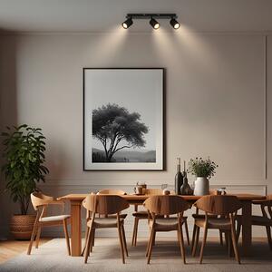 Briloner Lampa de tavan Ida, negru, cu 3 becuri, plastic/metal, reglabil, Negru, Camera de zi / sufragerie, Metal, Modern