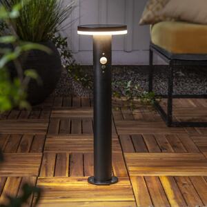 STAR TRADING Lampă cu soclu Solar LED Valletta Sensor metal negru 50 cm, Negru, Oțel inoxidabil, Modern, Lumini solare