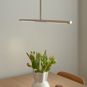 UMAGE Lampă suspendată LED Omni, alamă, 2 becuri, lungime 74 cm, reglabil, Auriu / Alamă, Camera de zi / sufragerie, Metal, Design