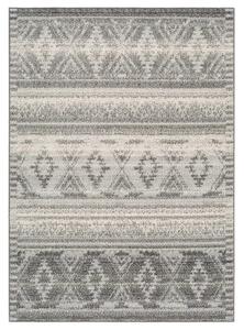 Covor Cu Motive Forseti Grey Selectează mărime: 080 X 120