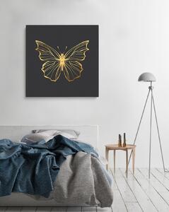 Canvas Papillon 3