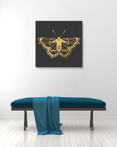 Canvas Papillon 6