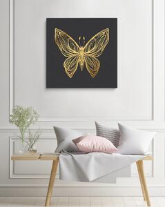 Canvas Papillon 7