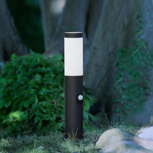Brilliant Dody Senzor lampă cu soclu, negru, metal, plastic, E27, reglabil, Negru, Metal