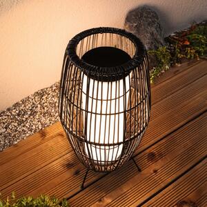 Paulmann Plug & Shine LED coș de lumină RGBW, 40 cm, ZigBee, reglabil, Negru, Metal