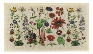 Covoraș de intrare 40x70 cm Botanicals – Artsy Doormats