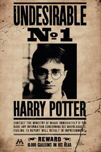 Poster Harry Potter - Undersirable No.1, (61 x 91.5 cm)