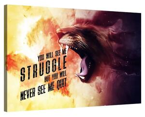 You Will See Me Struggle