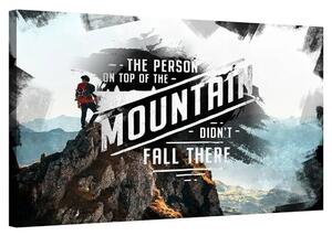 The person on top of the mountain didn&#039;t fall there