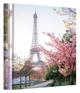 Bundle · Spring in Paris