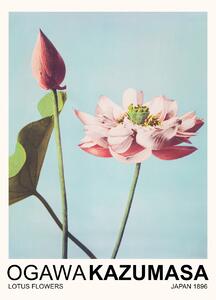 Artă imprimată Lotus Flowers (Japandi Florals) - Ogawa Kazumasa, (30 x 40 cm)