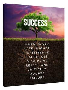 Roots of Success