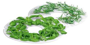 Sită de uscare plante pentru deshidrator ConceptSO1015/10 20/1025/1030/1040/1050