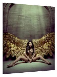 Fallen Angel