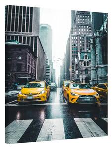 New York · United States #3