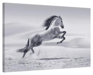 Leap