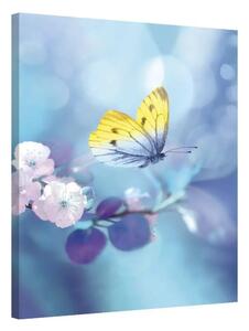 Butterfly Spring